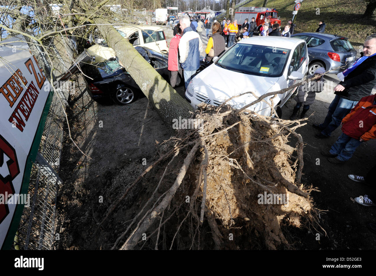 Zerstörte Autos steht unter einem Baum am Wildparkstadium in Karlsruhe, Deutschland, 28. Februar 2010. Niedrige "Xynthia" hit Deutschland mit Windgeschwindigkeiten von mehr als 100 km/h. Polizei und Feuerwehren sind kontinuierlich in Betrieb. Foto: ULI DECK Stockfoto