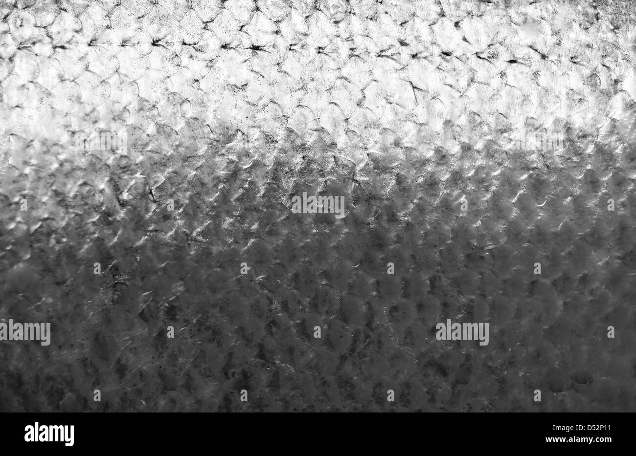 Lachs Fisch Schuppen Grunge Texturen Hintergrund Stockfoto