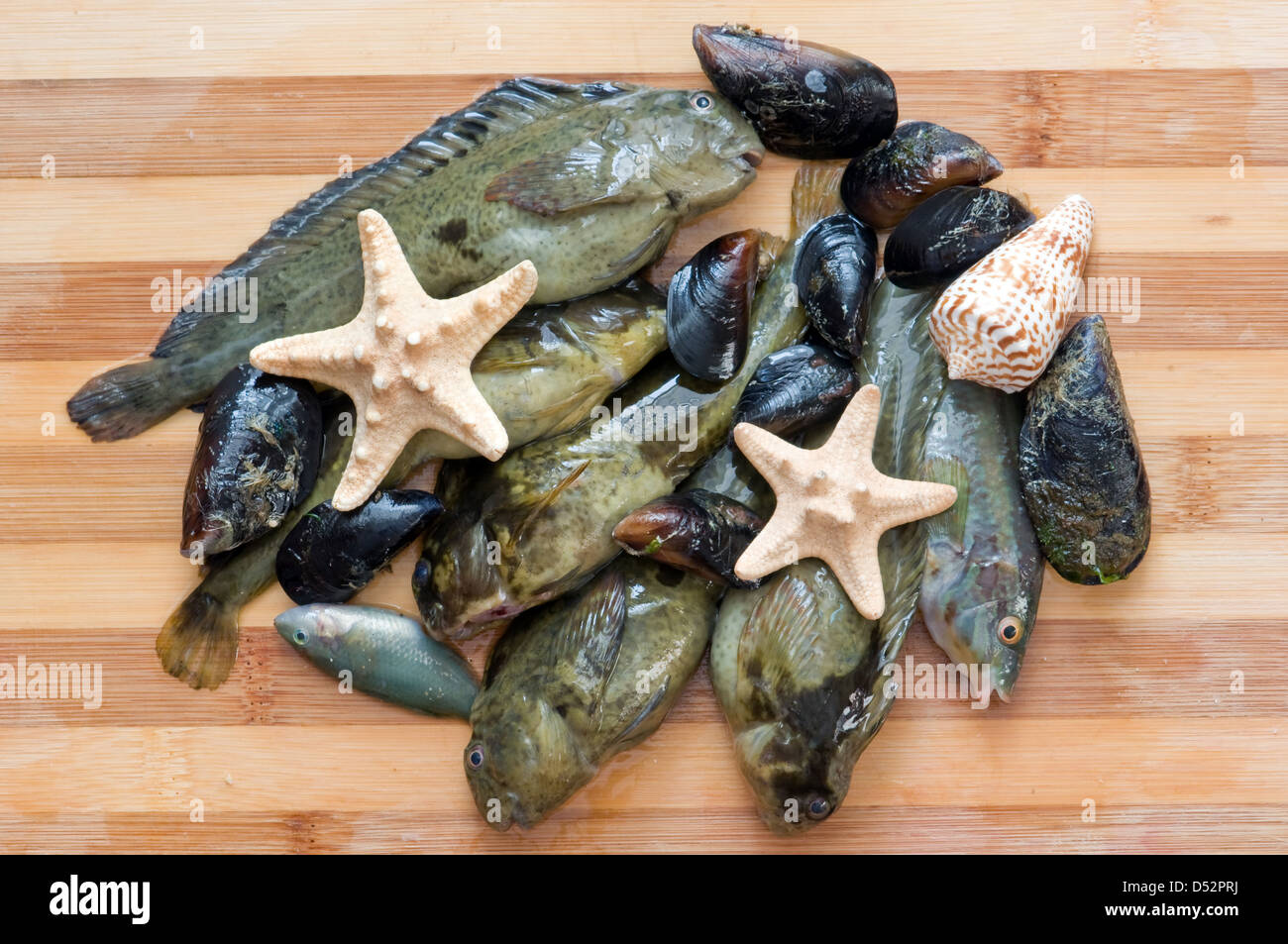 frischen Fisch und Muscheln auf Holztisch Stockfoto