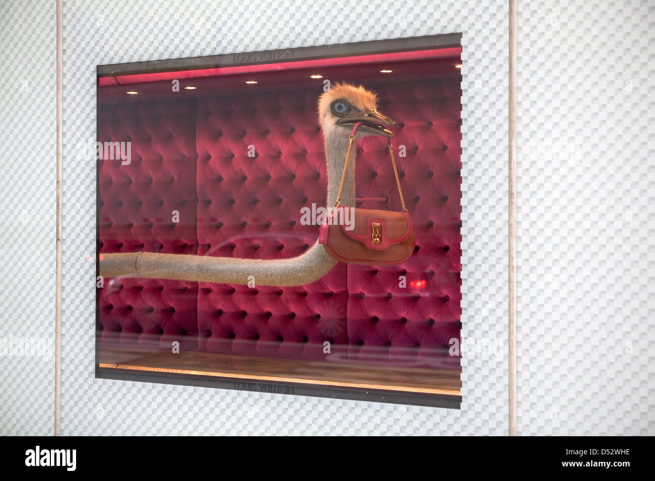 New York City, USA, Schaufenster der Mode label Louis Vuitton Stockfoto