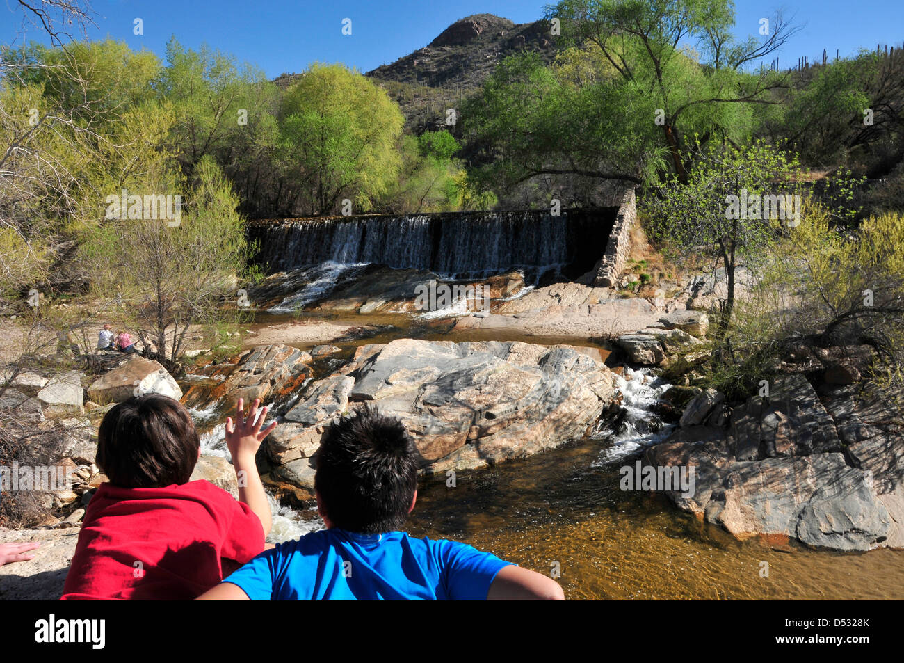 Das Wasser fließt in Sabino Creek, Sabino Canyon Recreation Area, Coronado National Forest, Sonora-Wüste, Tucson, Arizona, USA. Stockfoto