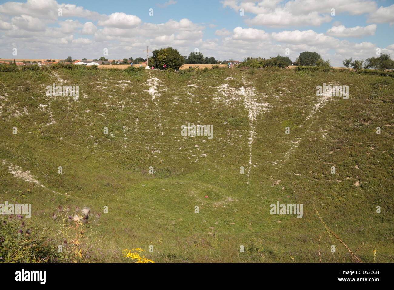 Der Lochnagar Grube Krater in der Nähe von La Boisselle, Somme, Picardie, Frankreich. Stockfoto