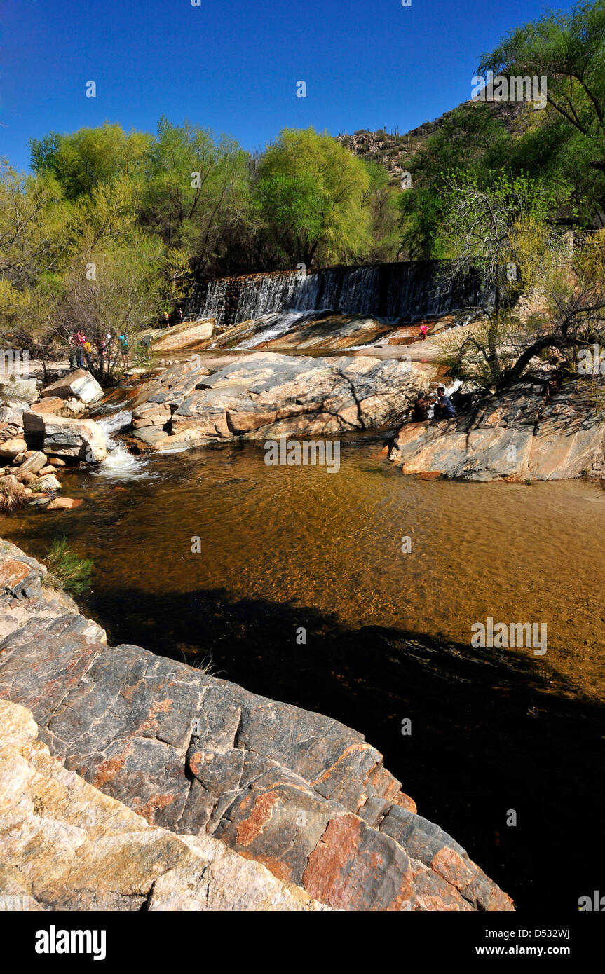 Das Wasser fließt in Sabino Creek, Sabino Canyon Recreation Area, Coronado National Forest, Sonora-Wüste, Tucson, Arizona, USA. Stockfoto