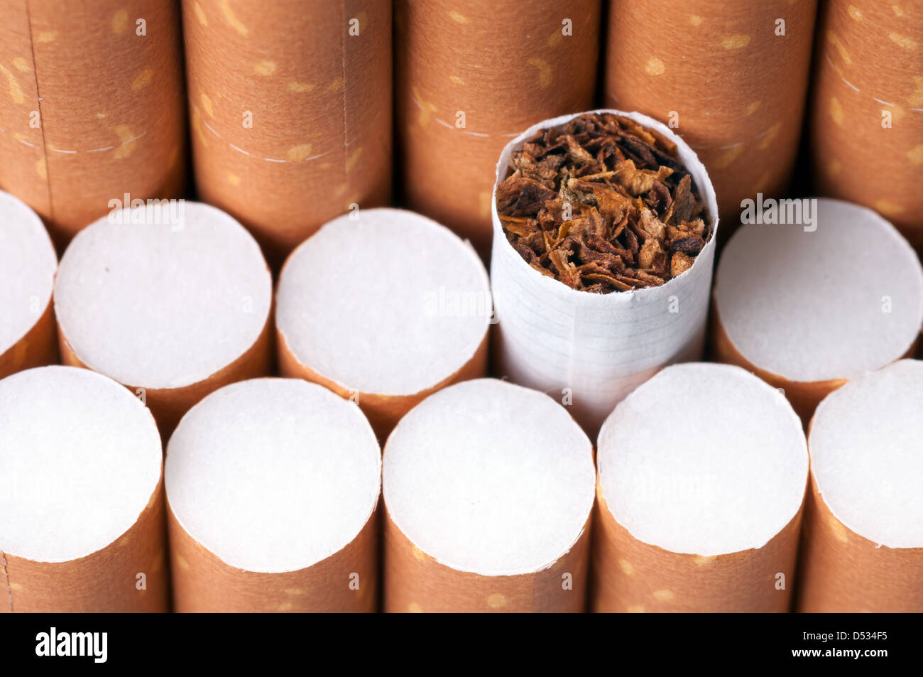 Tabak in Zigaretten mit einem braunen Filter hautnah Stockfoto