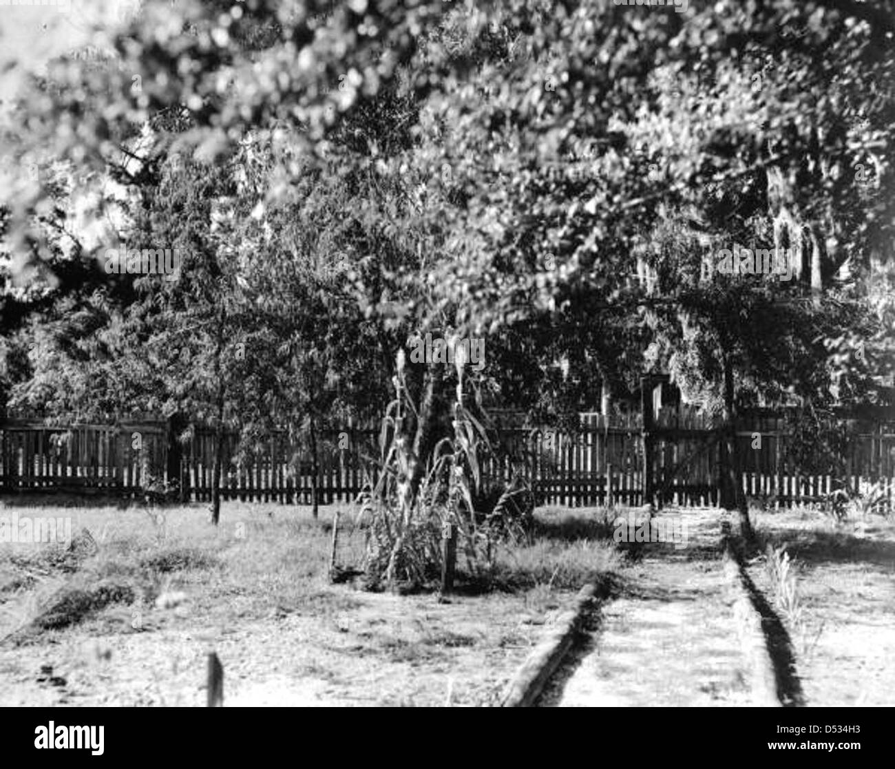 Ein Blick auf den Hof des Bauernhofs, der in dem Film „The Jearling“ im Alachua County, Florida, gedreht wurde. Das Schauspiel spiegelt das ländliche Leben wider, wie es im Film dargestellt wird, der auf Marjorie Kinnan Rawlings Roman basiert. Stockfoto