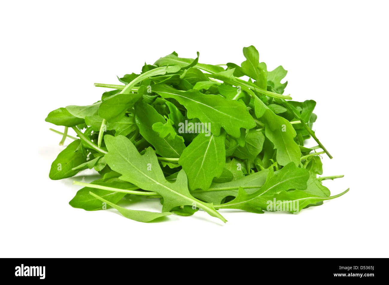 Rucola, isoliert auf weißem Hintergrund Stockfoto