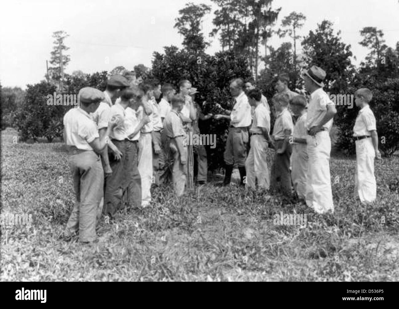 Teilnahme an einer Lektion auf Zitrusfrüchte: Gainesville, Florida Stockfoto
