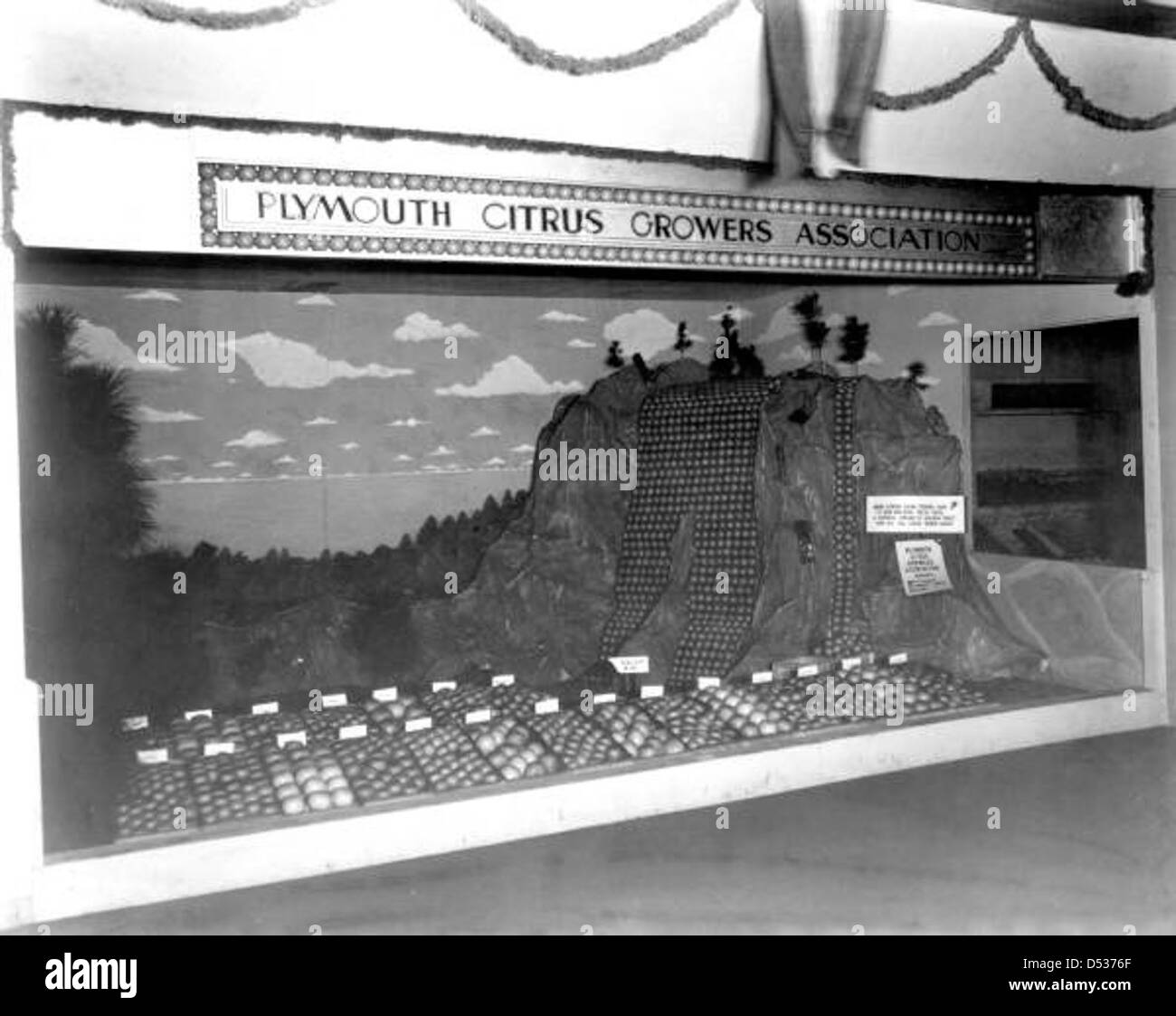 Die Ausstellung der Plymouth Citrus Growers Association auf dem Orange Festival in Winter Haven, Florida, zeigt die Zitrusprodukte der Region und unterstreicht die Bedeutung der Zitrusindustrie für die Wirtschaft Floridas. Stockfoto