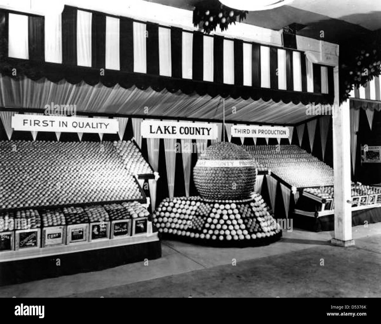 Das Florida Orange Festival in Winter Haven, Florida, zeigt eine Ausstellung über die Zitrusindustrie im Lake County. Das Bild zeigt verschiedene Zitrusanzeigen und landwirtschaftliche Produkte. Stockfoto