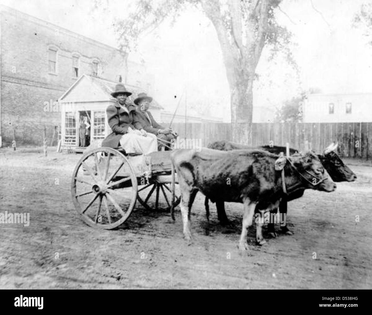 Ein nicht identifiziertes afroamerikanisches Paar in einem Ochsenwagen in der East Jefferson Street in Quincy, Florida. Das Bild, das Teil der Sammlung der State Library and Archives of Florida ist, beleuchtet den historischen Transport und das tägliche Leben in der Gemeinde während des Black History Month Focus. Stockfoto