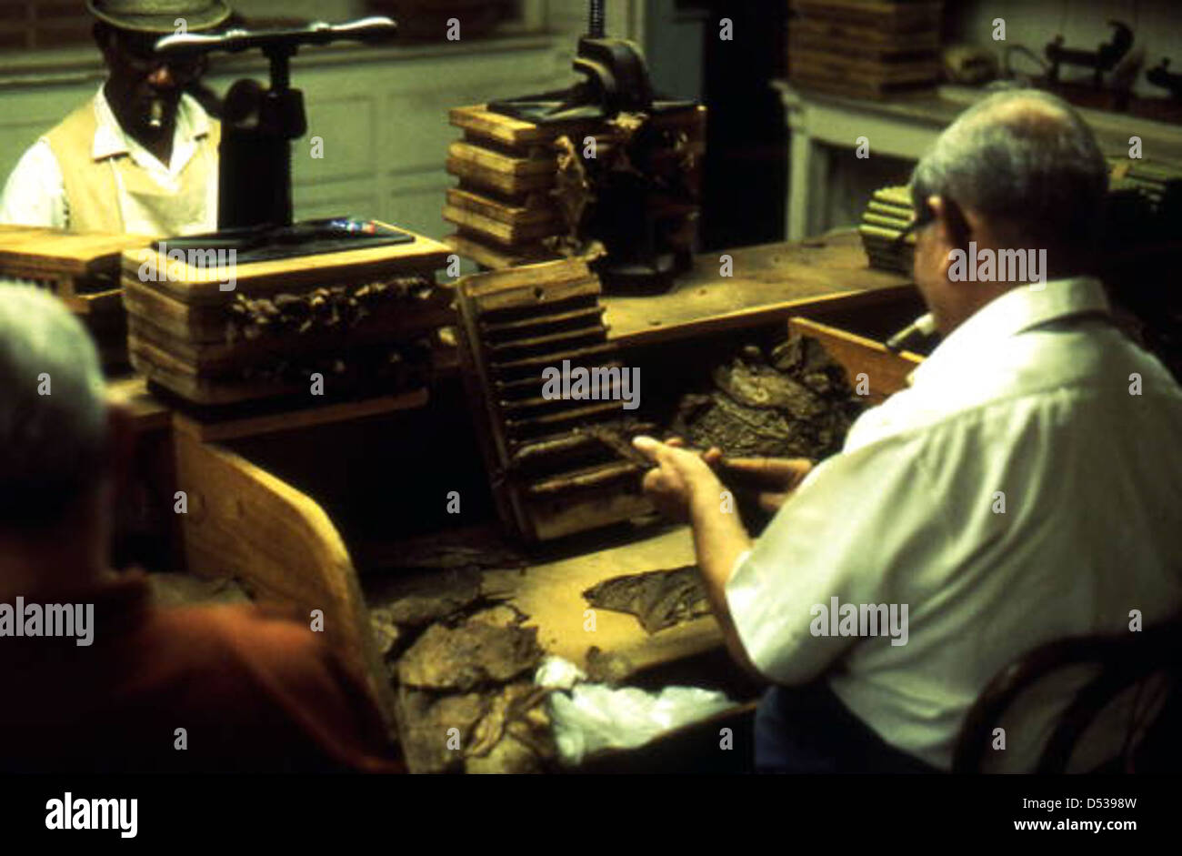 Kubanische Zigarrenmacher am Arbeitsplatz: Ybor City, Florida Stockfoto