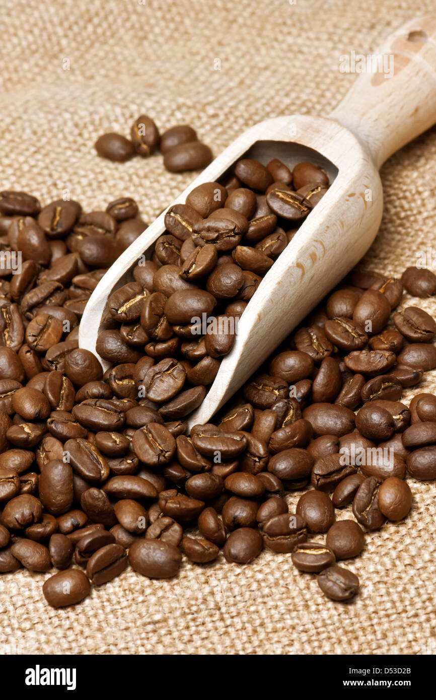 geröstete Kaffeebohne hautnah Stockfoto
