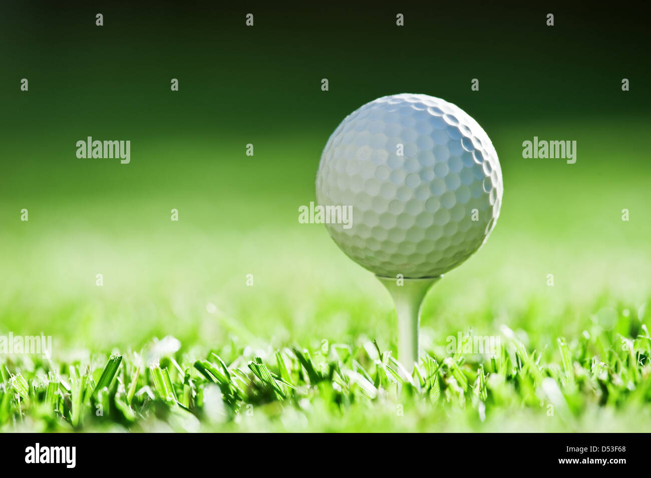 Golfball auf dem grünen Rasen Stockfoto