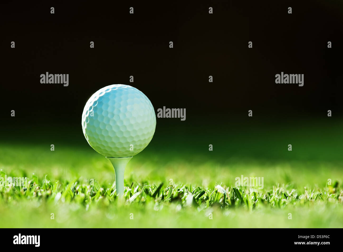 Golfball auf dem grünen Rasen Stockfoto