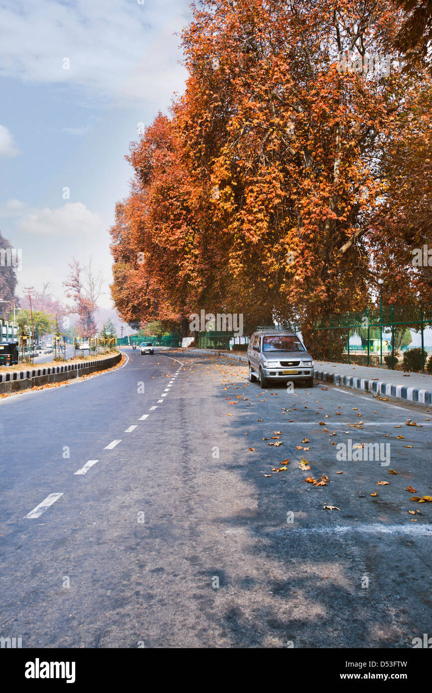 Auto am Straßenrand, Kaschmir, Jammu und Kaschmir, Indien Stockfoto