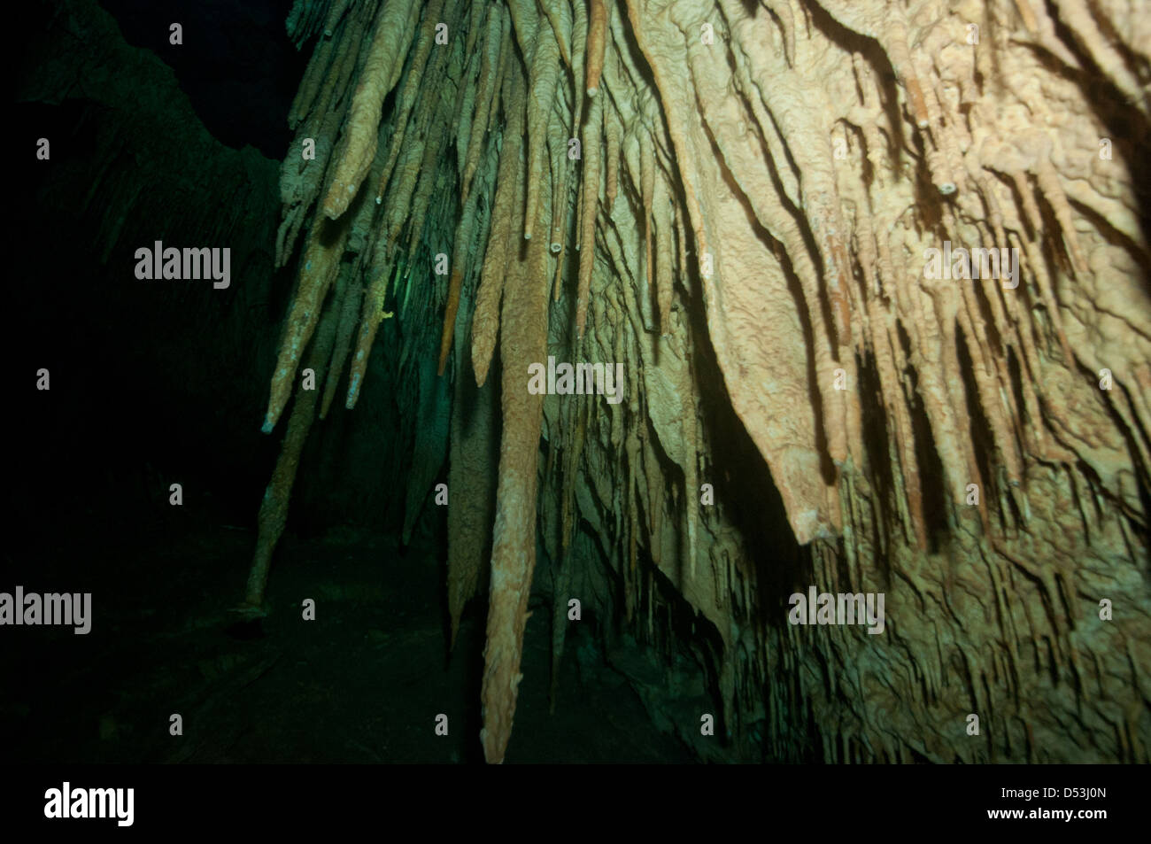 Cenote Höhle, Felsformation unter Wasser mit Umgebungslicht und silhoettes Stockfoto