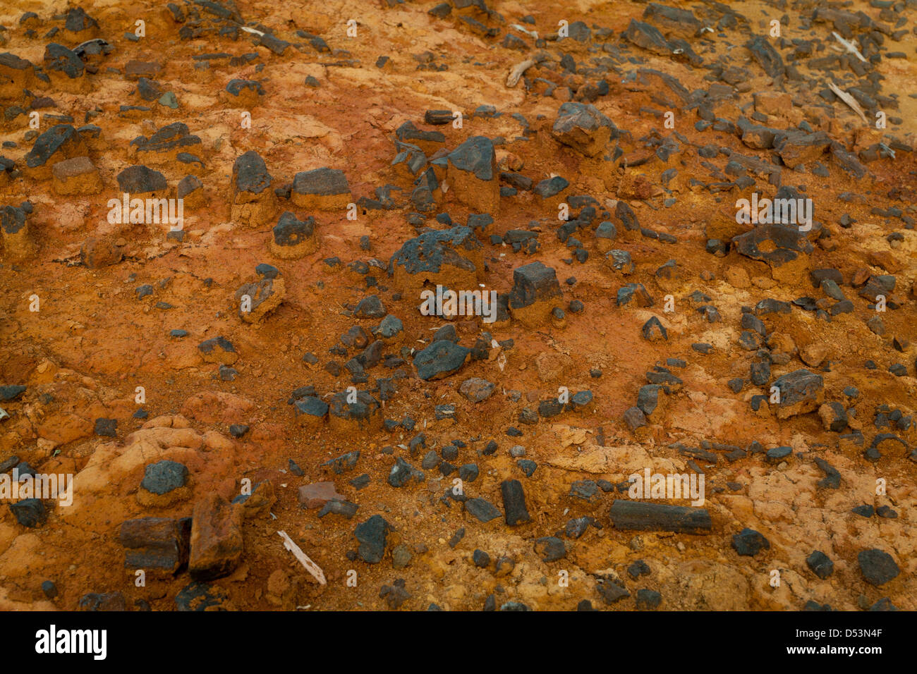 Kohle aus antiken Siedlungen in Sarigua Nationalpark (Wüste), Herrera Provinz, Republik von Panama. Stockfoto