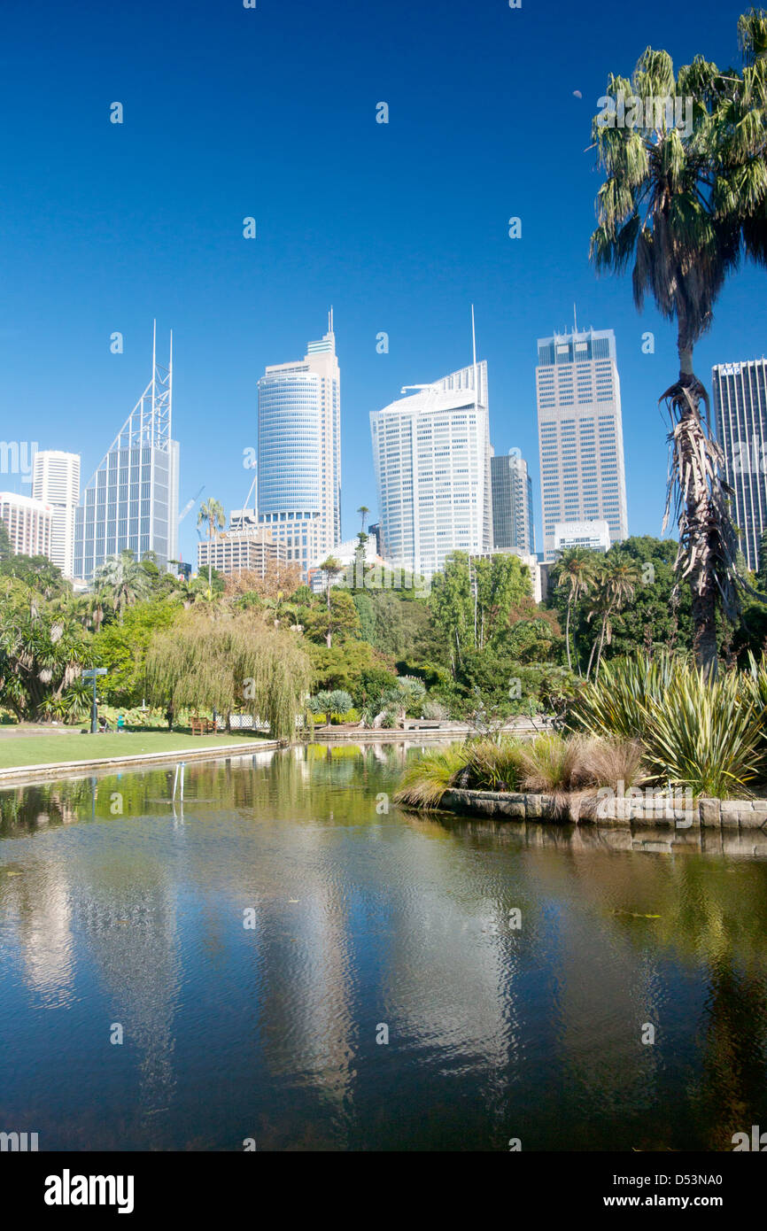 Royal Botanic Gardens mit CBD Skyline hinter Australien Sydney New South Wales (NSW) Stockfoto