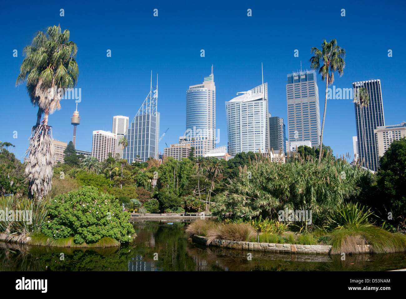 Royal Botanic Gardens mit CBD Skyline hinter Australien Sydney New South Wales (NSW) Stockfoto