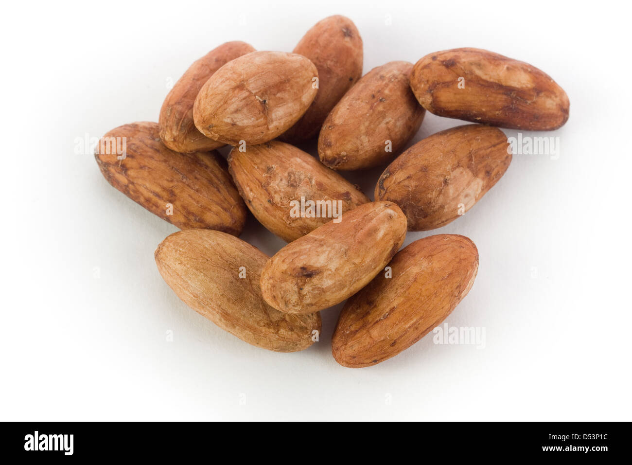 Kakaobohnen auf weißem Hintergrund Stockfoto