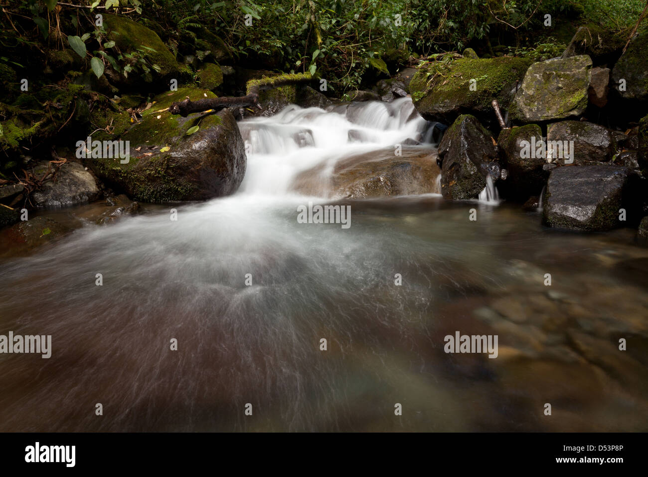 Fluss-Stream in La Amistad Nationalpark, Chiriqui Provinz, Republik von Panama. Stockfoto