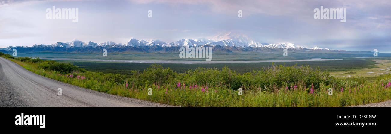 Panorama-Ansicht südlich von Alaska Range inklusive Mt. McKinley (Denali Berg) vom westlichen Ende des Denali Nationalpark, Alaska Stockfoto