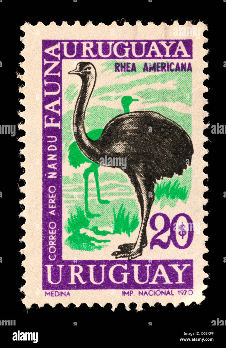 Briefmarke aus Uruguay Darstellung ein Rhea (Rhea Americana) Stockfoto