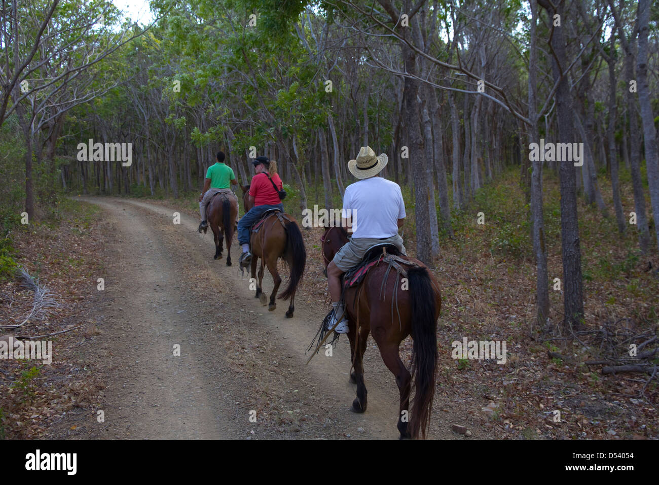 Trail-Reiten durch einen Laubwald an Morgans Rock Hacienda & Ecolodge, Nicaragua Stockfoto