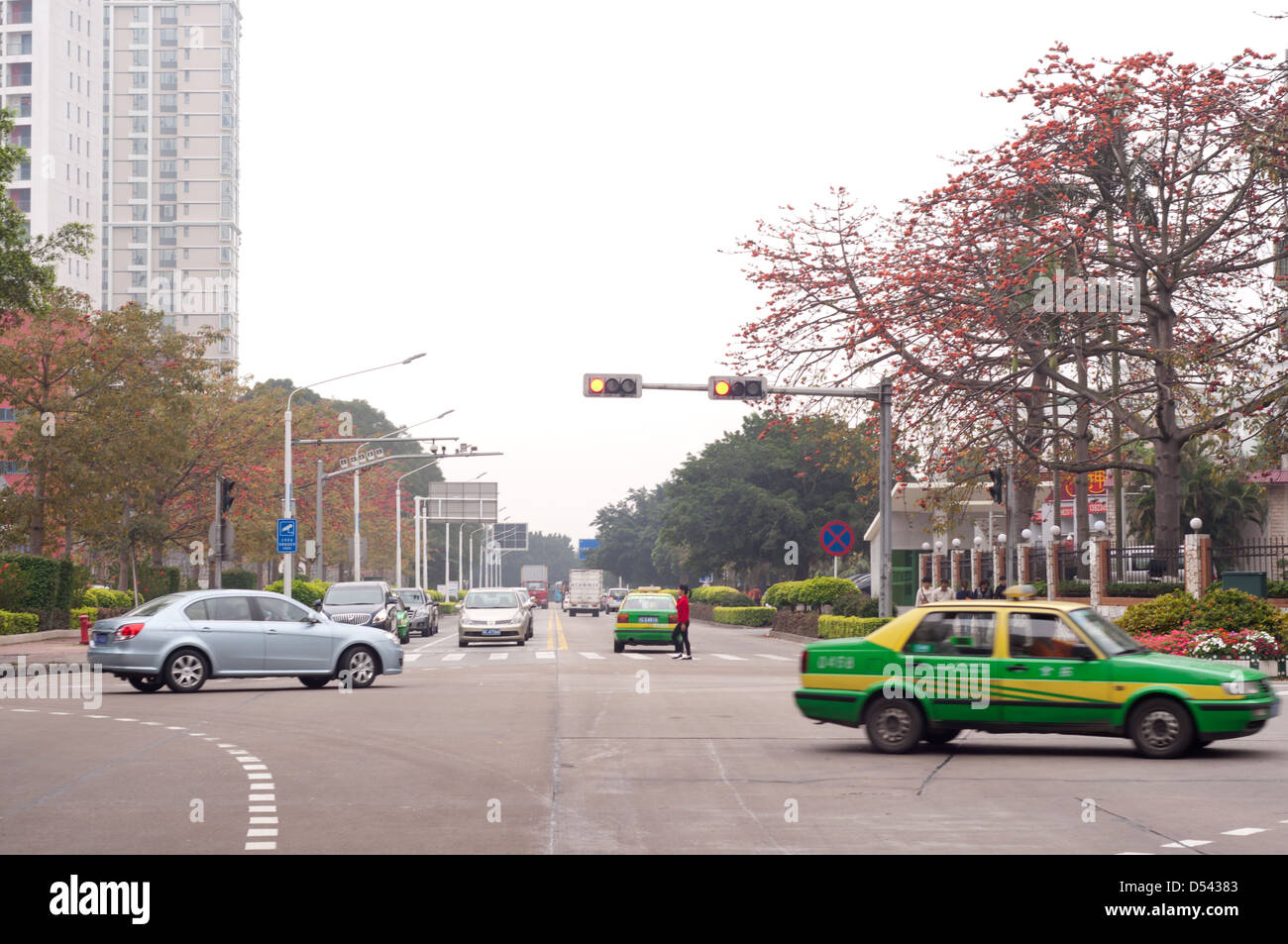 Die Straßen der Stadt, Taxis und Busse in den Straßen, Kapok blühen auf beiden Seiten der Straße von Zhuhai Stockfoto