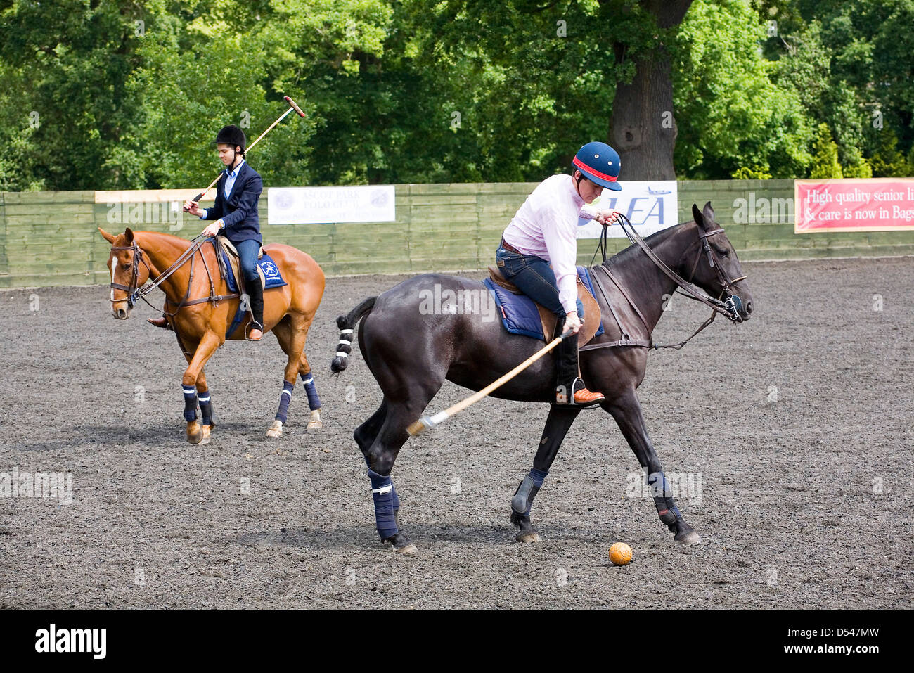 Zwei Personen üben ihre Polo. Stockfoto