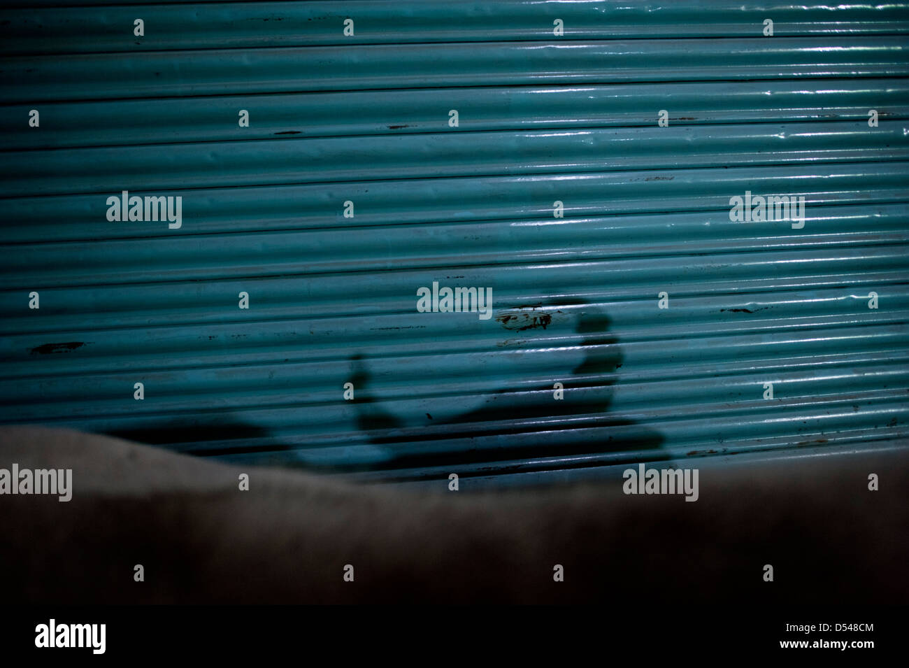 Eine Kuh wirft einen unheimlichen Schatten ähnelt der Teufel Hörner auf einer blauen Wand in Varanasi, Indien. Stockfoto