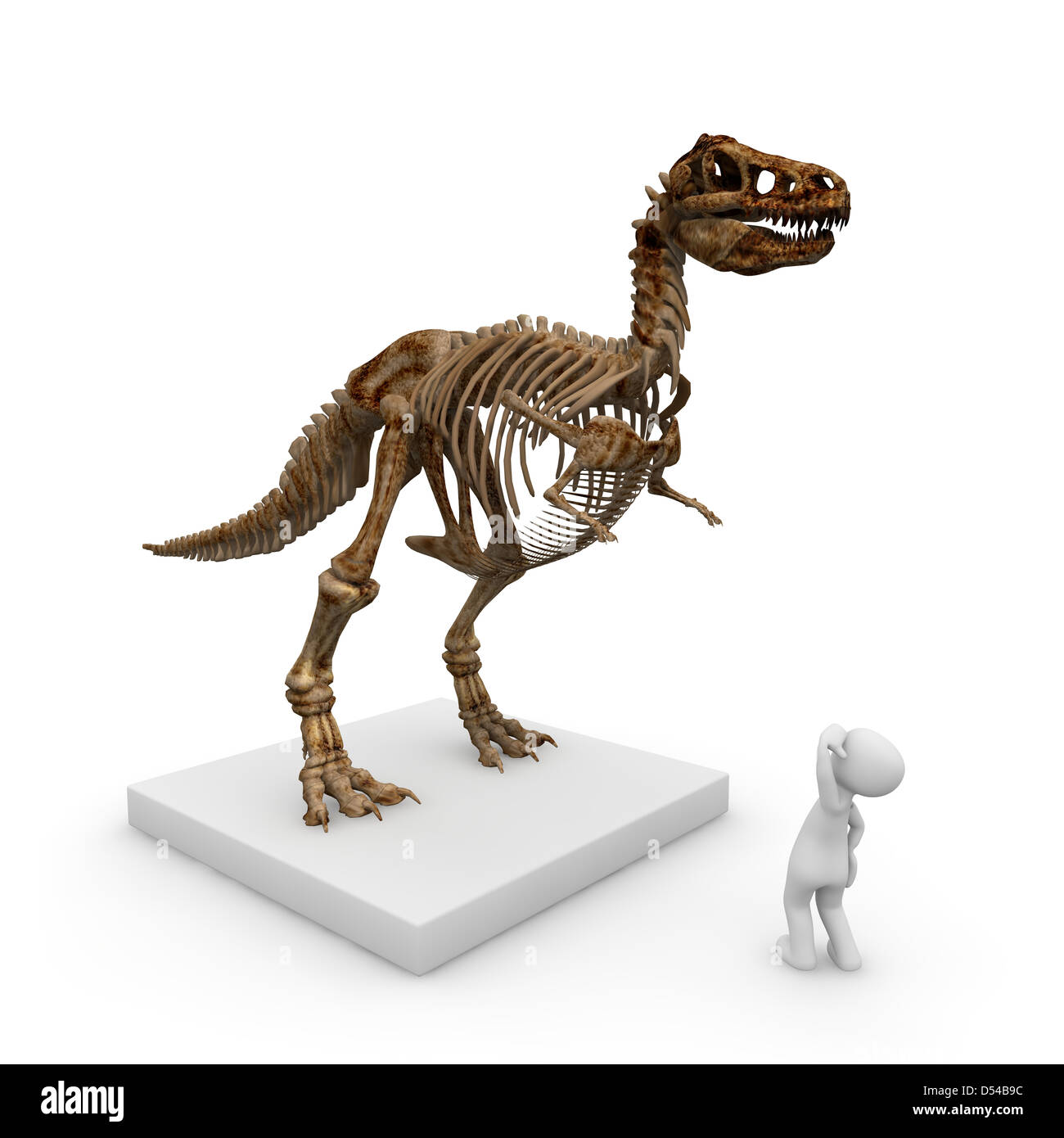 Das Skelett eines Dinosauriers im Museum ist ein großes Stück der alten Ausstellung Stockfoto