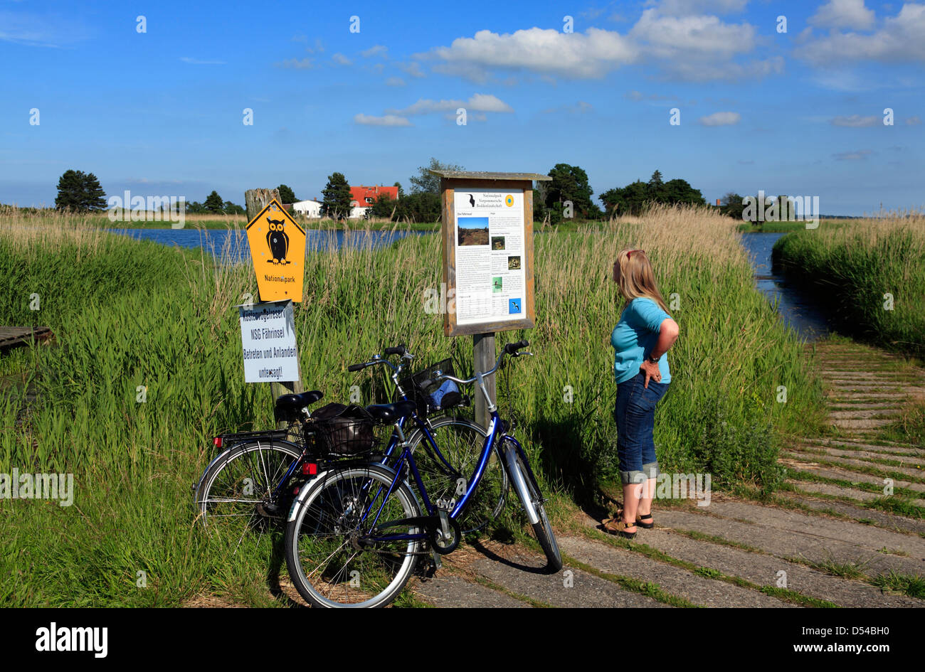 Insel Hiddensee, Radfahrer an der Furt, Faehrinsel, Mecklenburg Western Pomerania, Deutschland Stockfoto