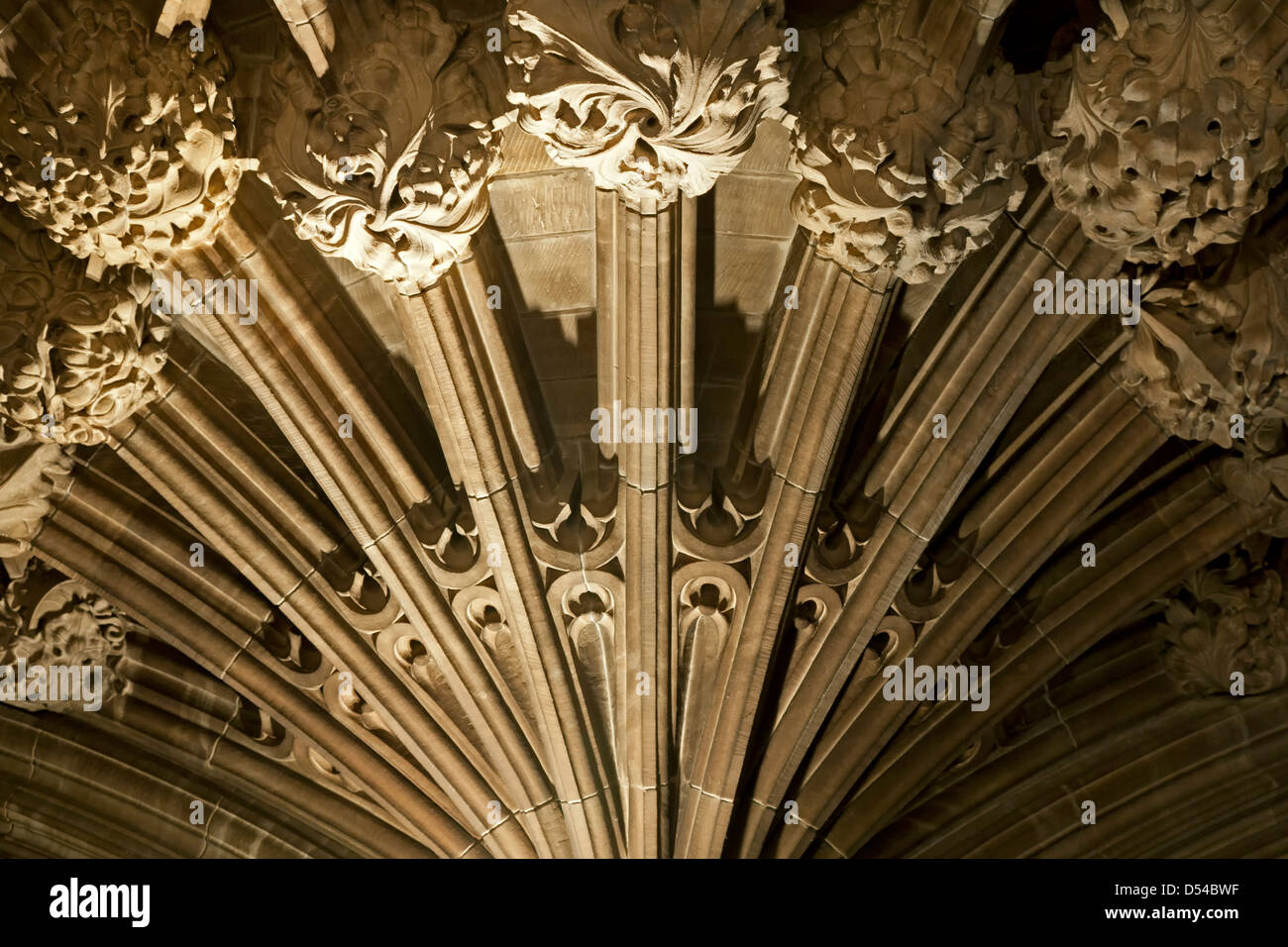 Decke detail, Thistle Kapelle St. Giles' Cathedral, Edinburgh, Schottland, Vereinigtes Königreich Stockfoto