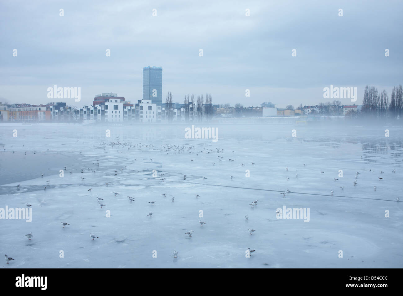 Berlin, Deutschland, Möwen auf dem vereisten See Rummelsburg Stockfoto