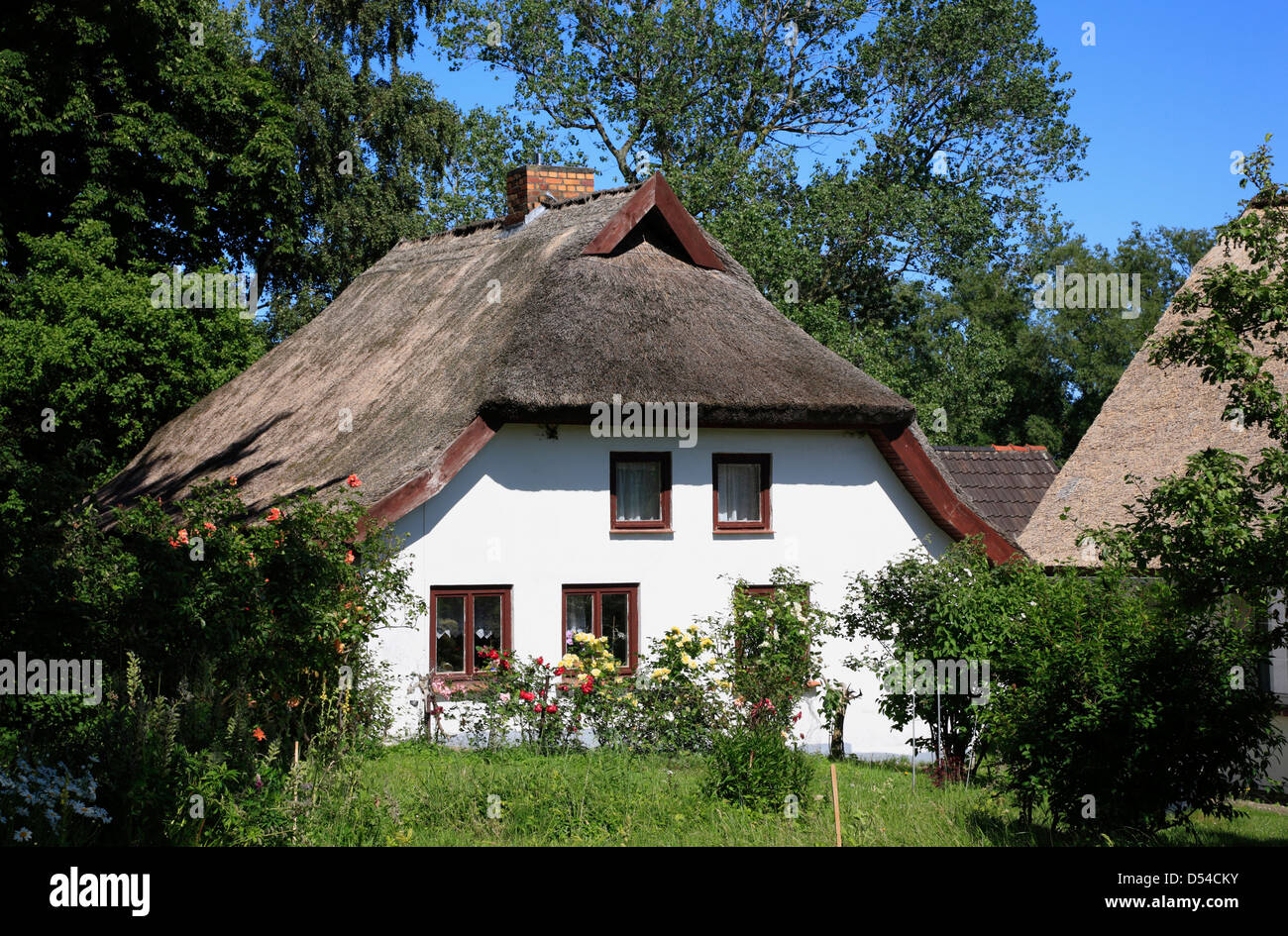 Insel Hiddensee, strohgedeckten Häuser in Grieben, Mecklenburg Western Pomerania, Deutschland Stockfoto