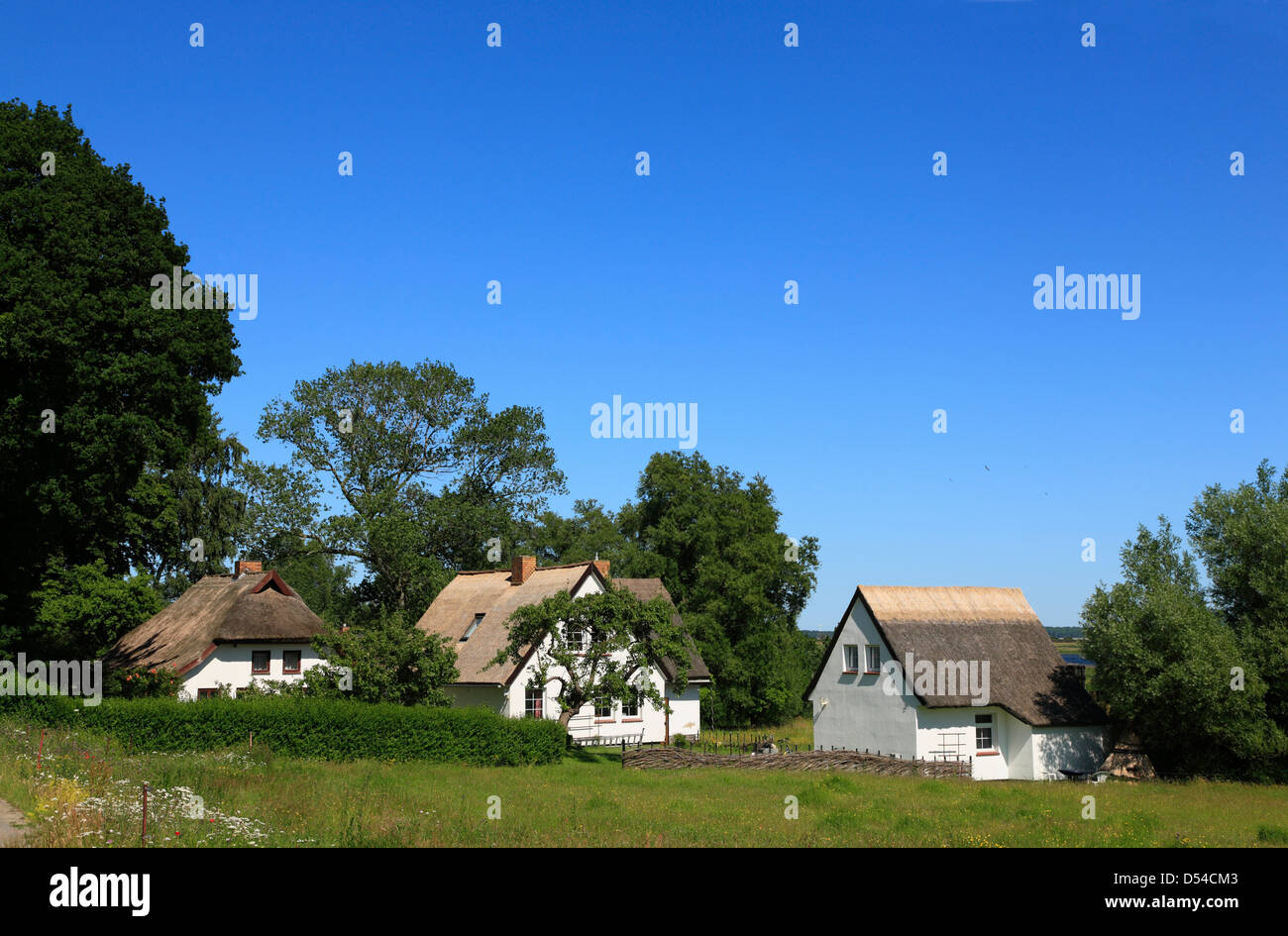 Insel Hiddensee, strohgedeckten Häuser in Grieben, Mecklenburg Western Pomerania, Deutschland Stockfoto