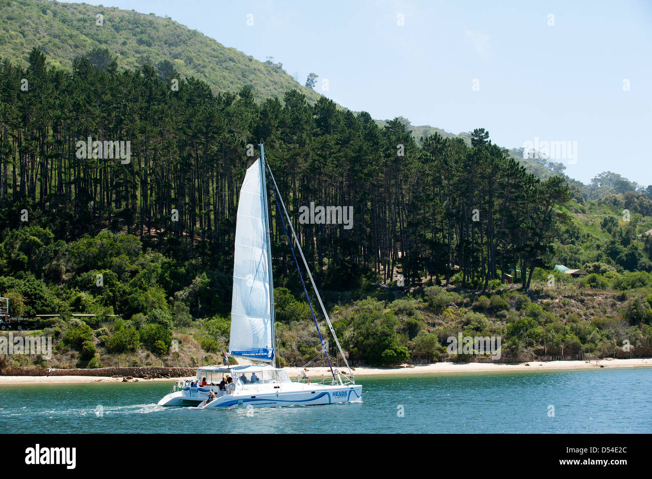 Katamaran-Segeln mit Passagieren vorbei das Featherbed Nature Reserve in Knysna Südafrika Stockfoto