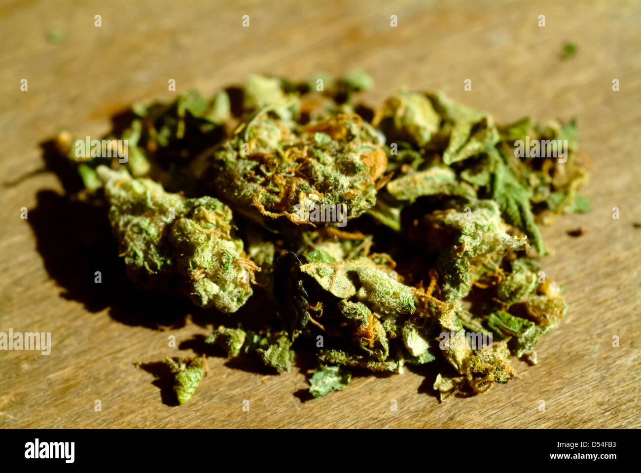 Berlin, Deutschland, getrocknete Blütenstände von cannabis Stockfoto