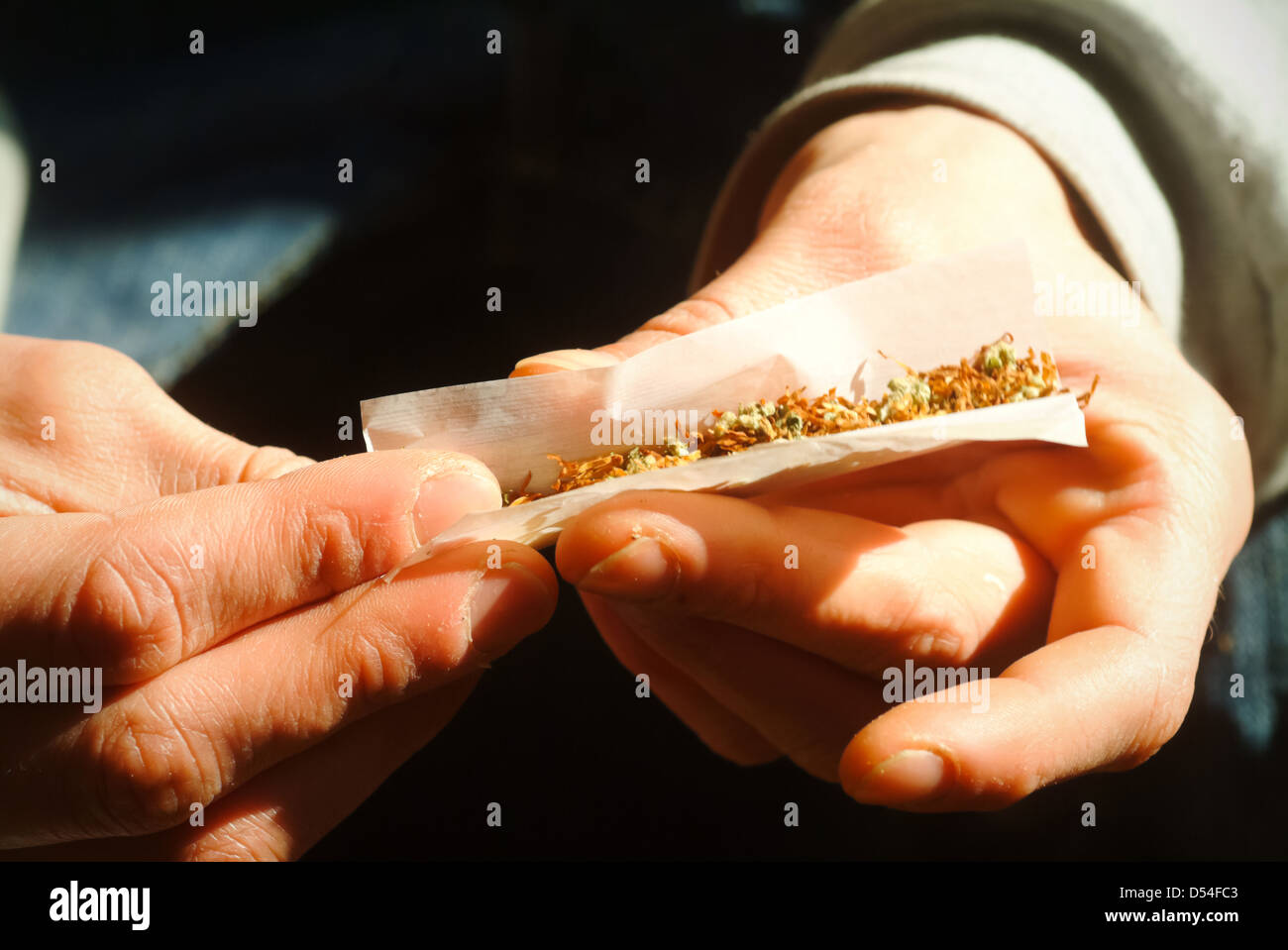 Berlin, Deutschland, dreht sich ein Kiffer ein Gelenks Stockfoto