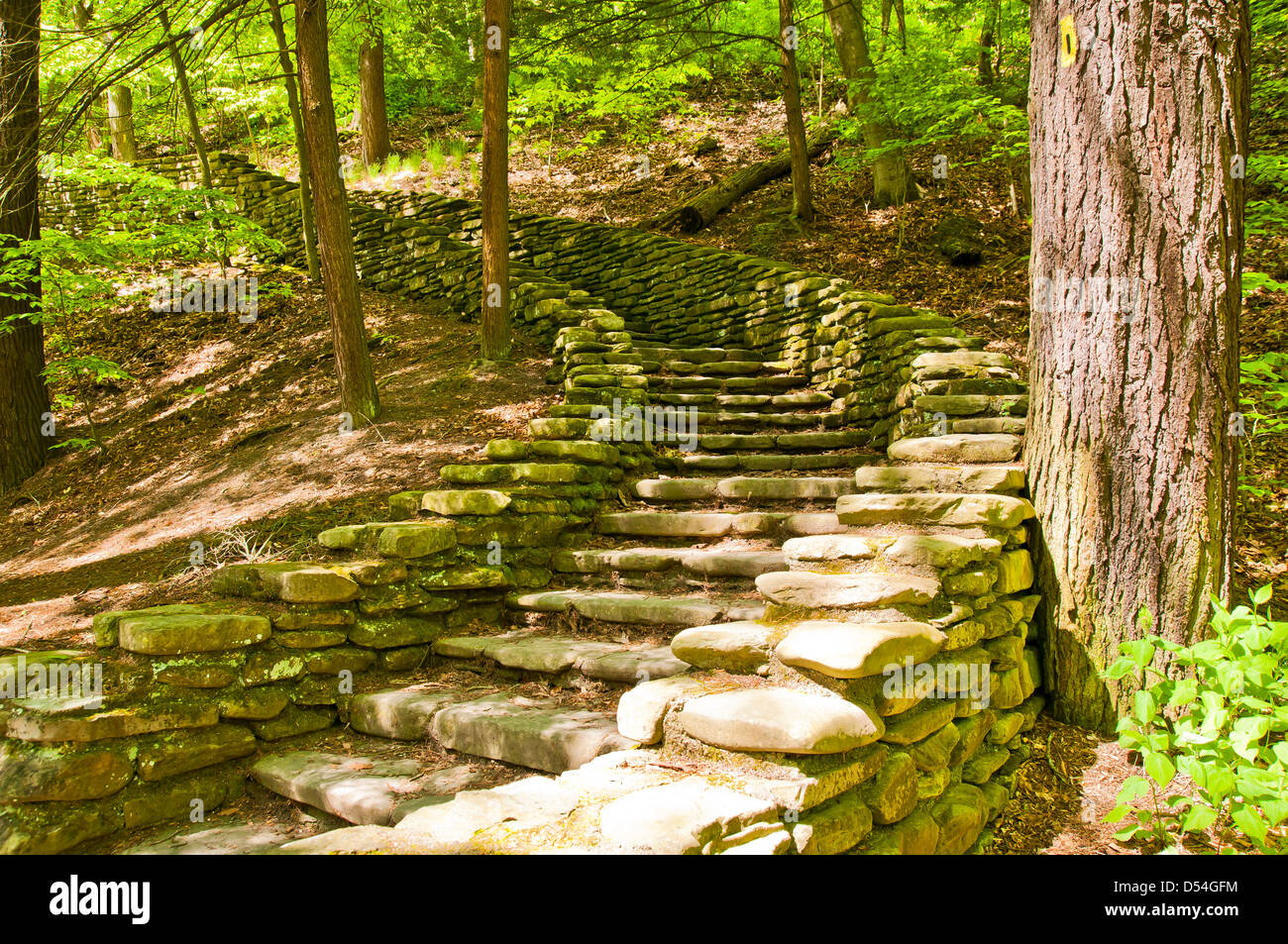 Die steinernen Stufen von Letchworth State Park locken Sie zu durchstreifen Stockfoto