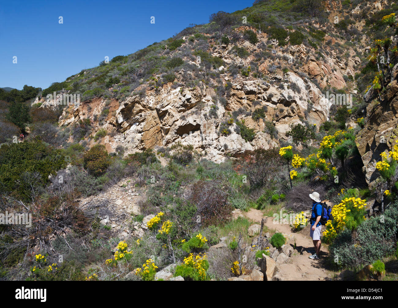 Wanderer auf dem La Jolla Canyon Trail im Point Magu State Park von Wildblumen Stockfoto