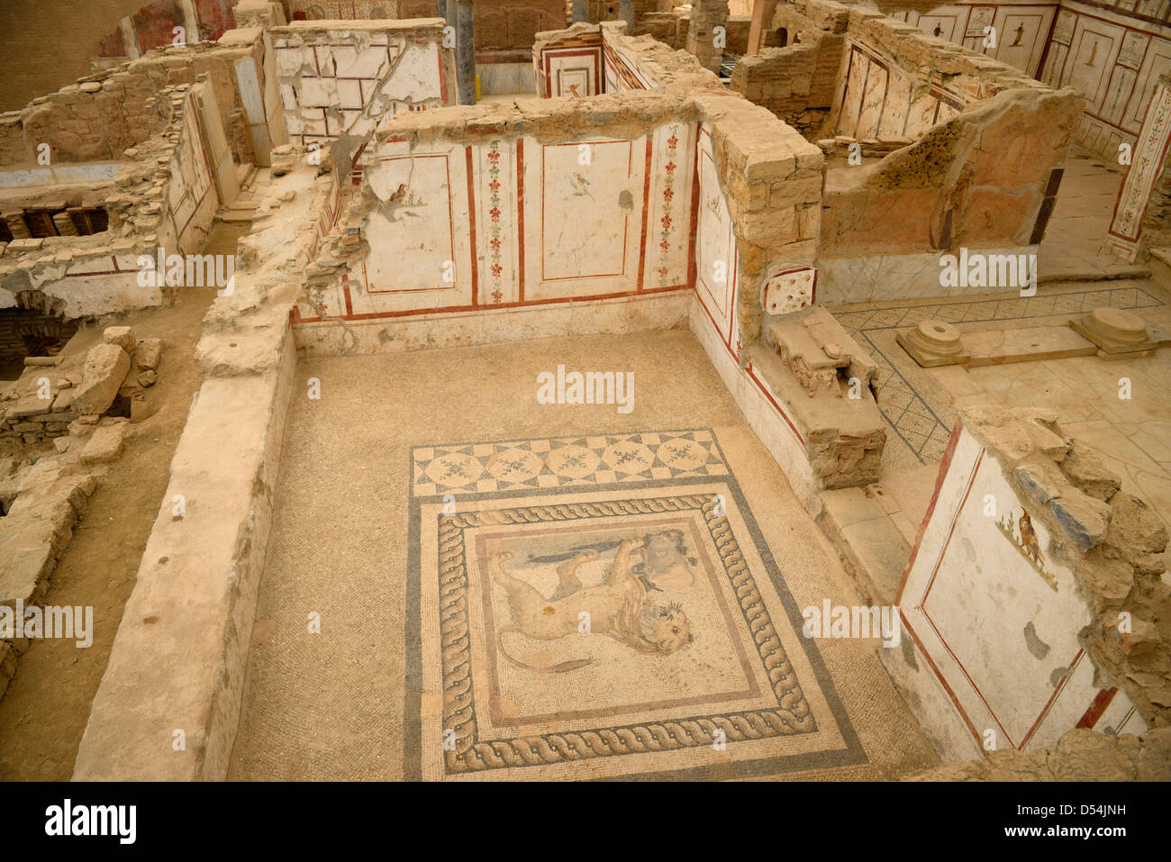 Fresken und Löwe Mosaik gefliesten Boden des Inneren einer Hang Haus Ruine auf Kuretenstraße des antiken Ephesus-Türkei Stockfoto