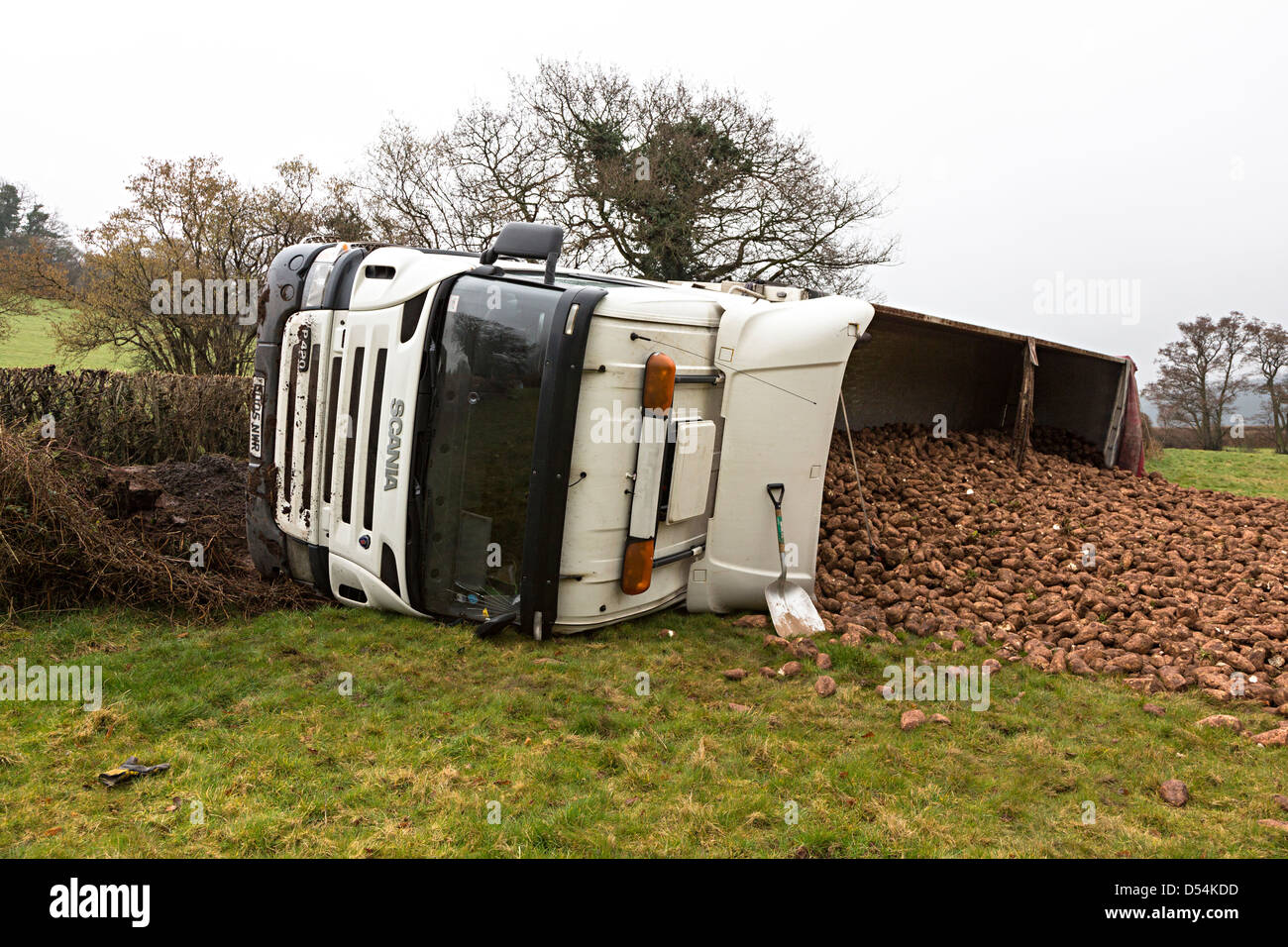 Gestürzter LKW, der eine Hecke von der Straße nach links zerkleinert hat und seine Ladung in Farm Field, Tretower, Wales, Großbritannien, verschüttet hat Stockfoto