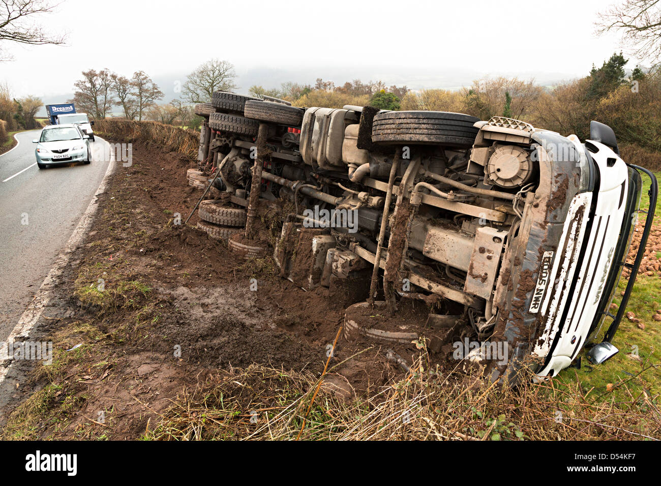 Umgestürzter LKW, das zerkleinert eine Hecke und ergossen sich seine Ladung in Feld-Hof, Tretower, Wales, UK Stockfoto