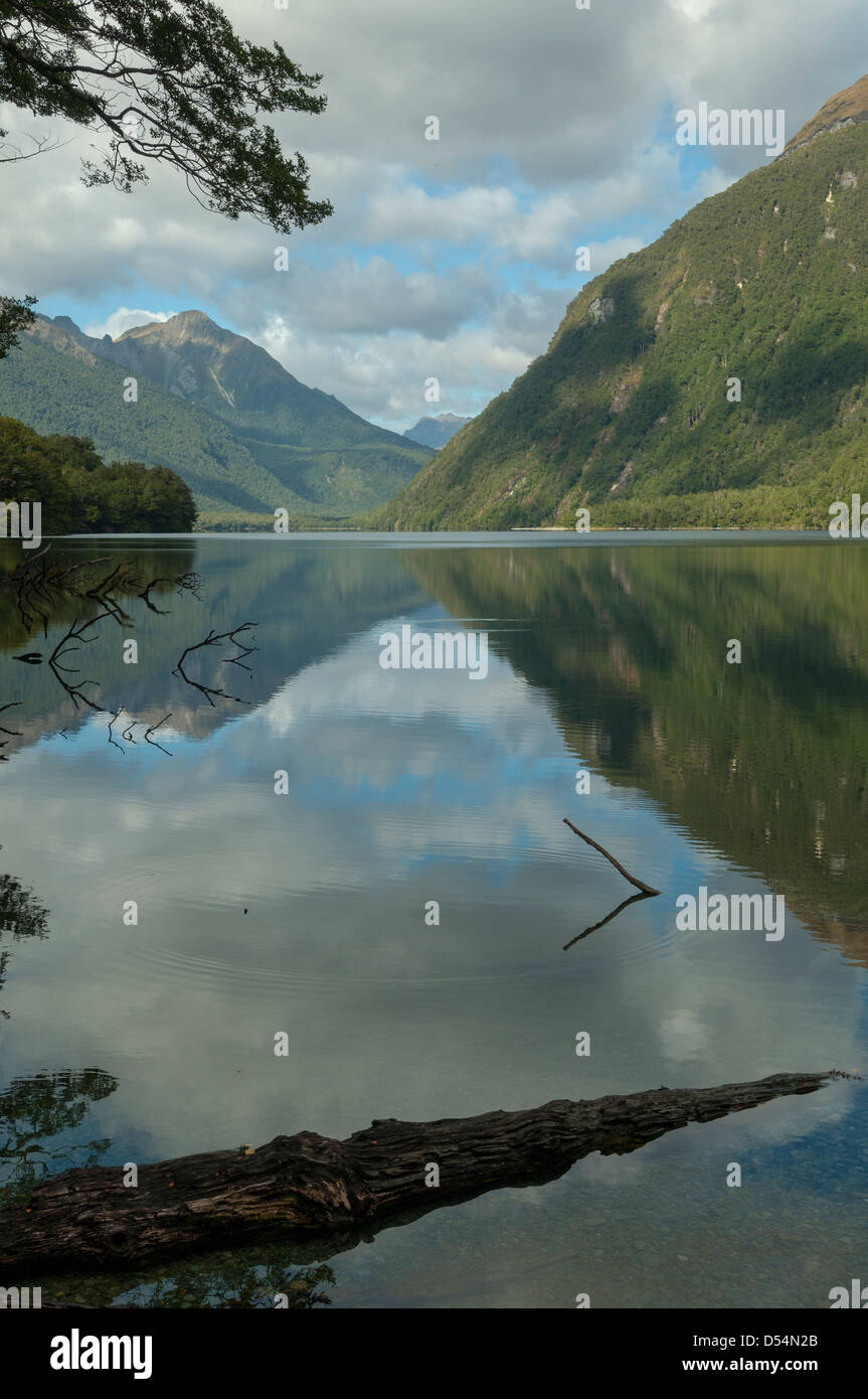 Reflexionen im Lake Gunn, Fiordland, Neuseeland Stockfoto
