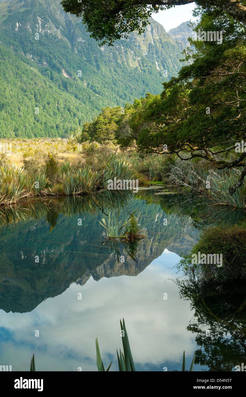 Reflexionen im Spiegelsee, Eglington Valley Stockfoto