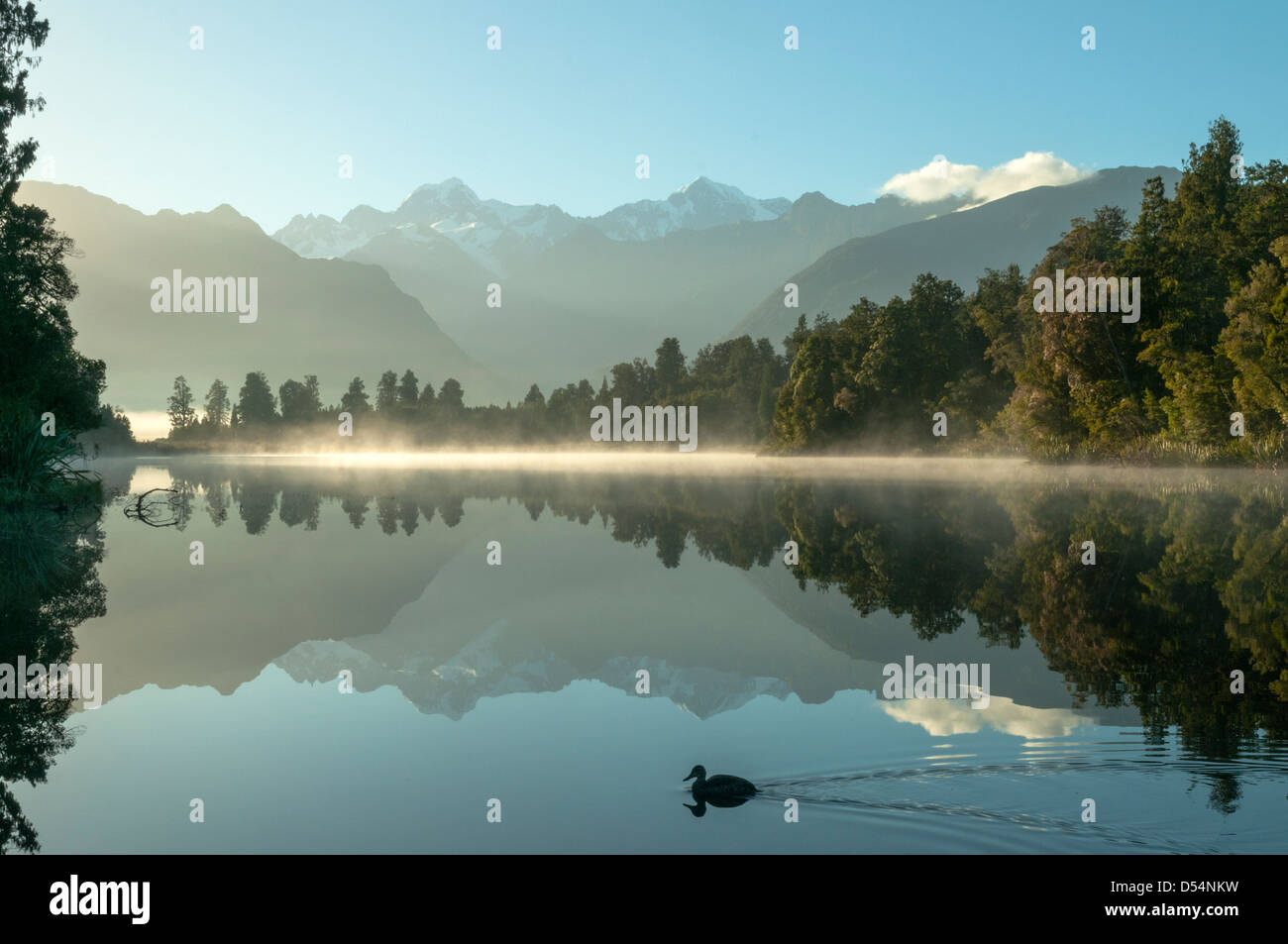 Reflexionen im Lake Matheson, Fox Glacier, West Coast, New Zealand Stockfoto