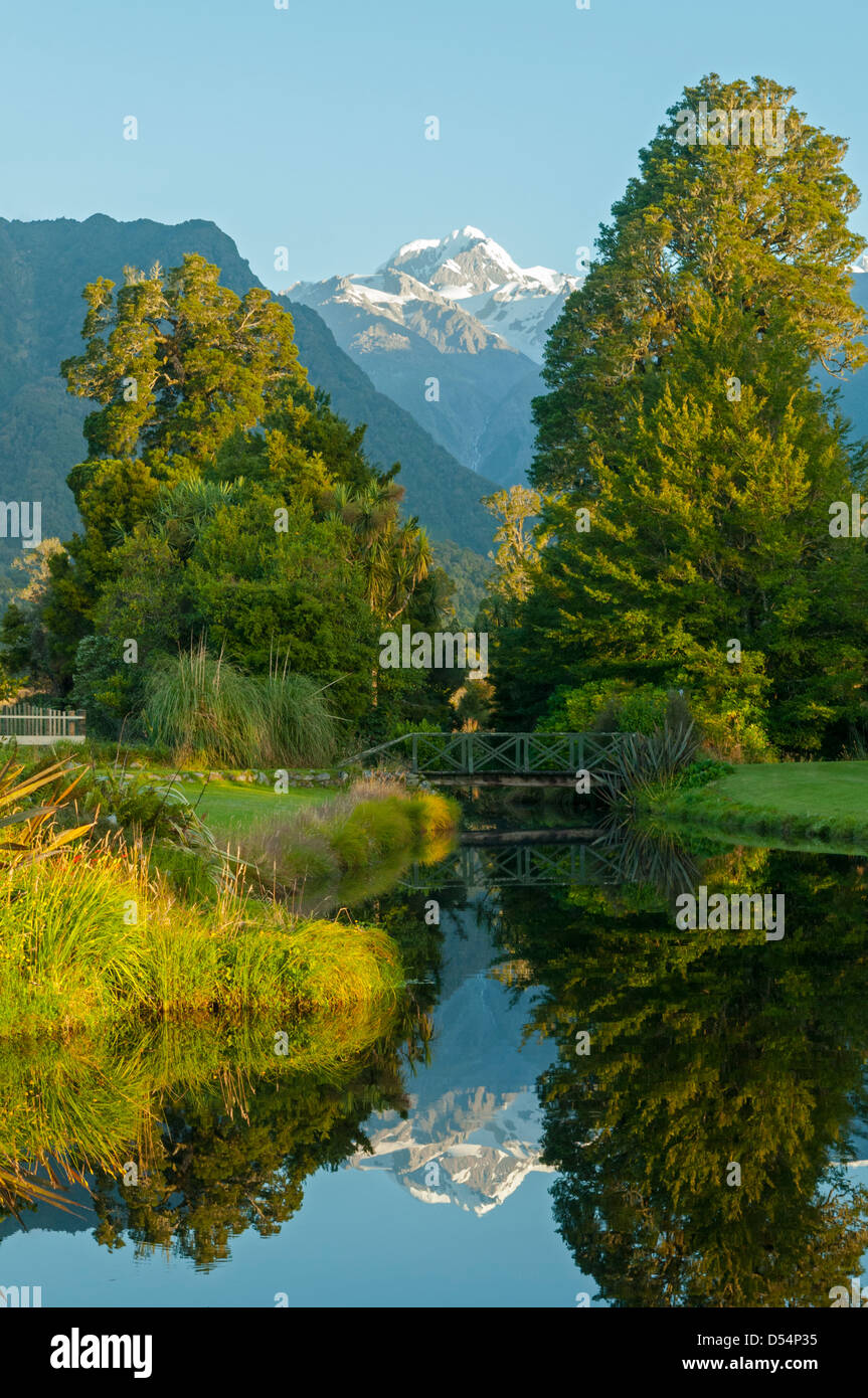 Reflexionen von Mt Tasman im Teich in der Nähe von Fox Glacier, West Coast, New Zealand Stockfoto