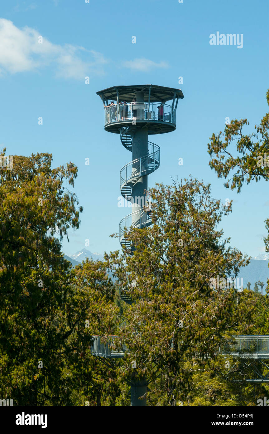 Turm am Treetop Walk, Hokitika, West Coast, Neuseeland Stockfoto